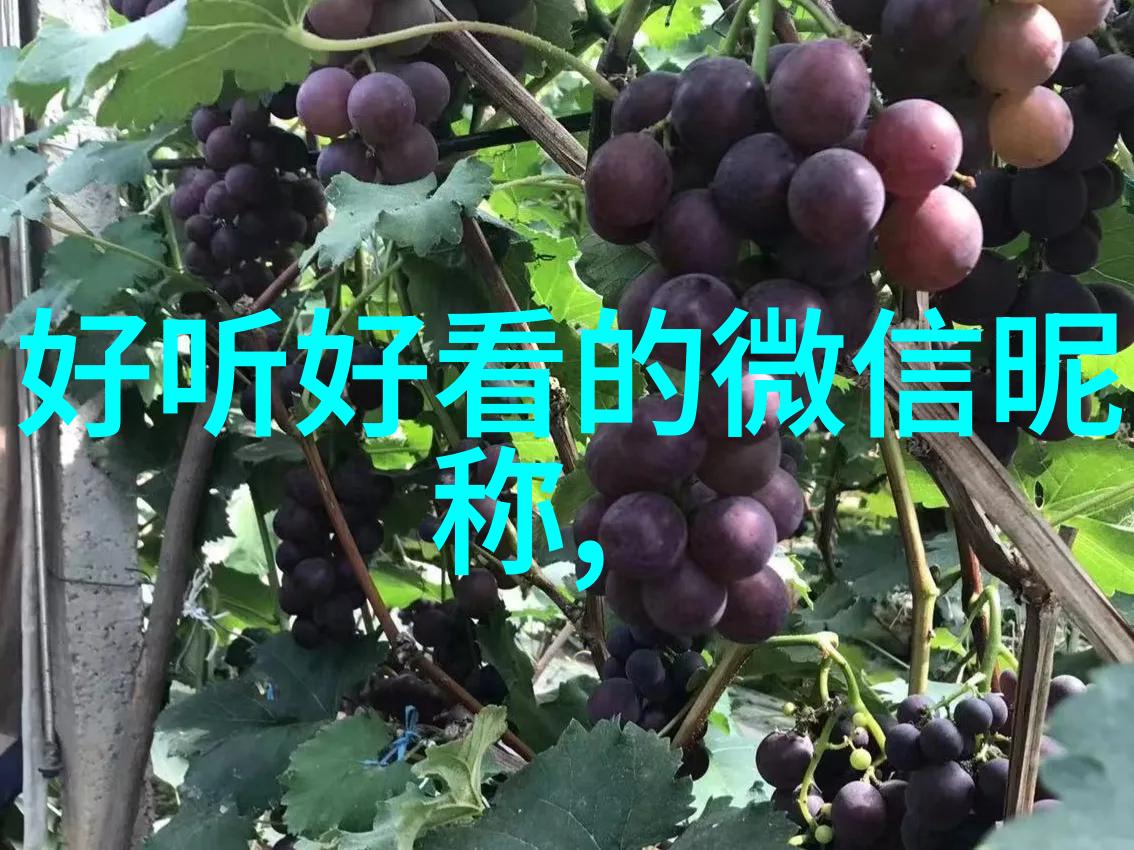 网名大师超拽个性化的网络身份探索