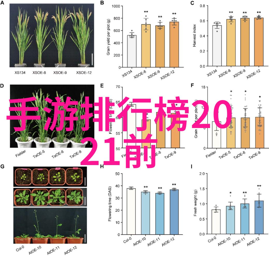 5. _我们应该如何理解和感受仙气这个概念呢_