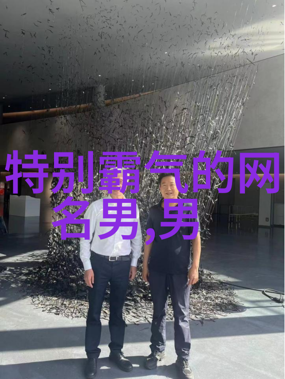 随机之名编织数字梦境的名字匠人