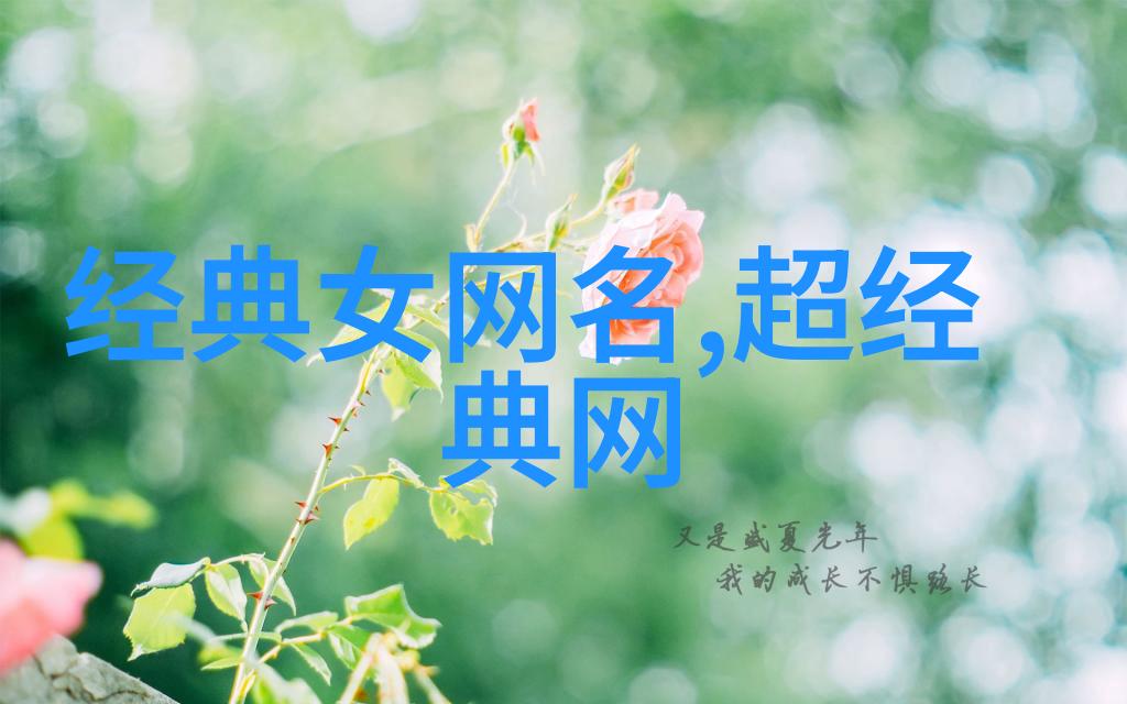 霸气回归揭秘最具影响力的网络称号