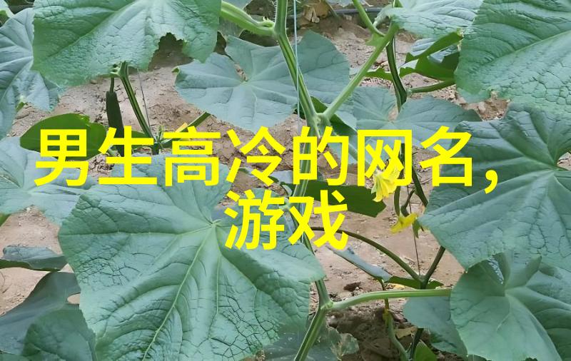 非主流特殊符号网名女生霸气的网络身份标签带你走进符号世界