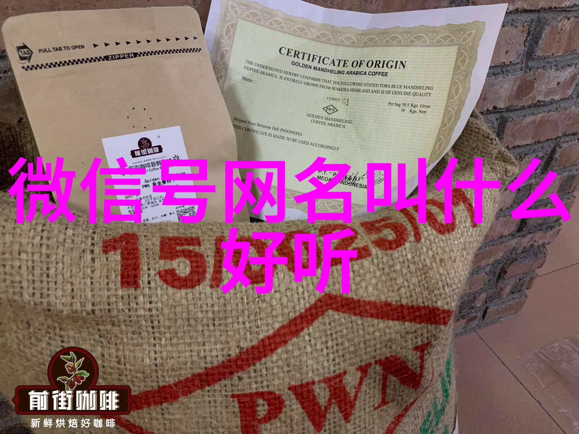 清新寓意雅韵网名的艺术品味探索