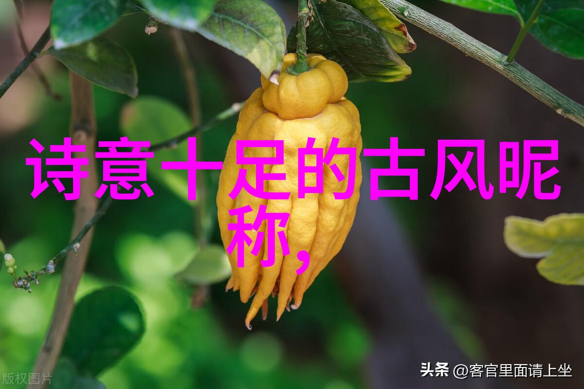 唯美很仙的网名笑声绕世界泪水共舞清新个性文艺范2018