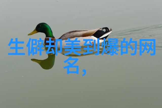 坐在学长的棒子上写作业-学长的支撑与我的文字一段不平凡的学习日记