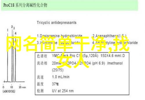 探索英文小众女孩名蕴含深意的独特之选