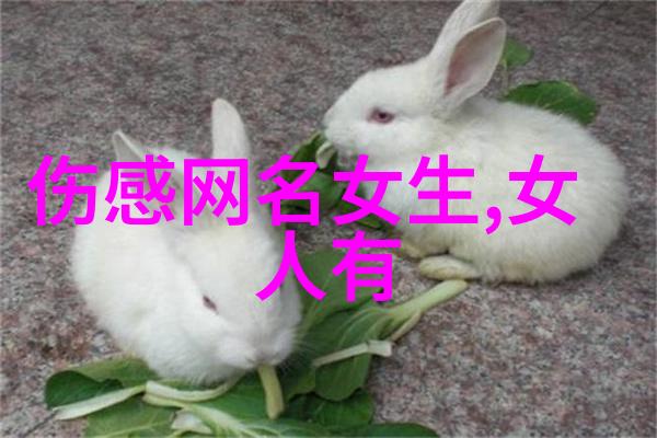 女生网名可爱大赏甜蜜昵称带你入迷