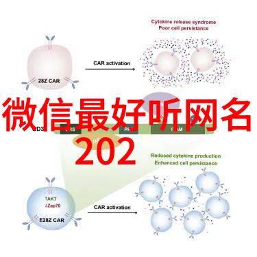 爱情的无声语言探索非主流网名背后的故事与意义