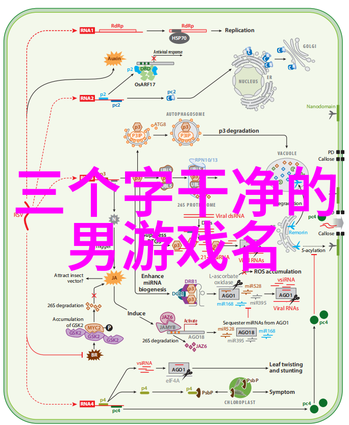 电影中的炖汤与躁狂一场心灵的烹饪