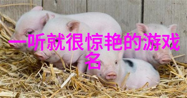 取名字生辰八字起名2023年 - 新春新命精准算命选出最吉利的名字与出生日期