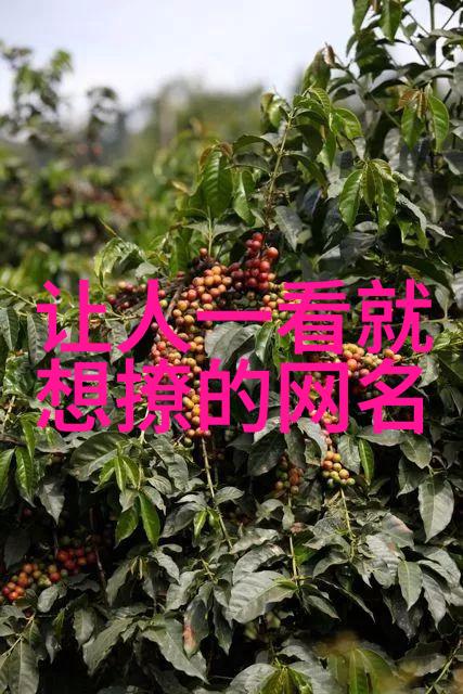 好听的情侣网名精选100个