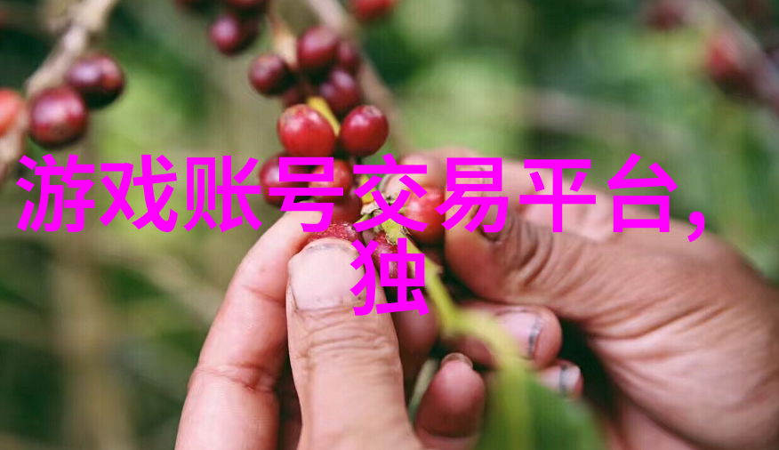 梦幻西游情侣网名我和你一起穿越古龙世界的浪漫之旅