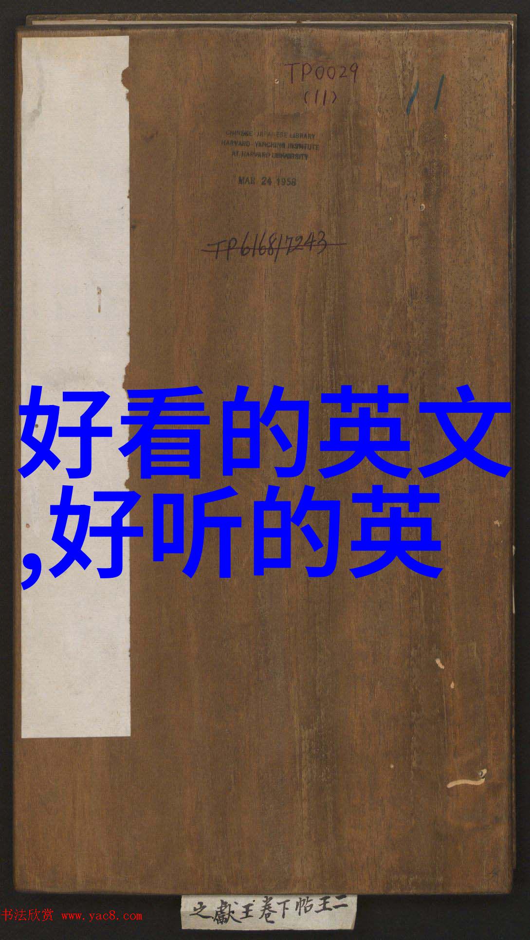 温柔干净的网名二字 - 清晨曦光下的网络诗人寻找那份纯粹的文字世界