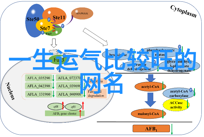 心灵角落个性伤感网名的深层解读与创作技巧