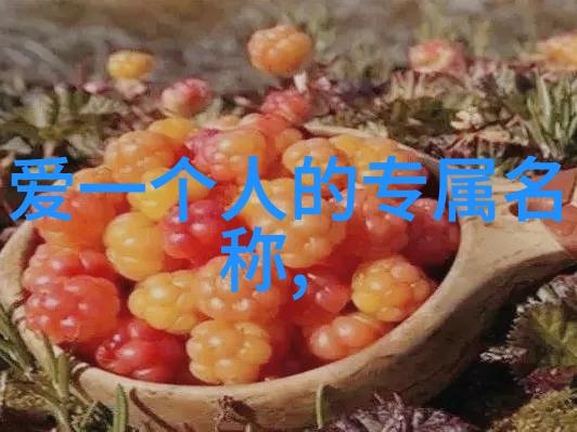 耙式干燥机高中生的英文名字