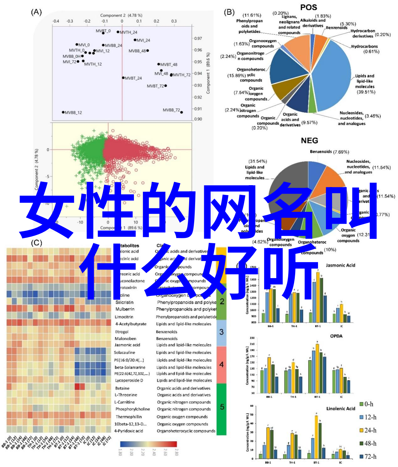 甜蜜风暴好听又拽的微信名字