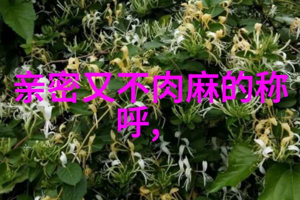 网红霸气女生如何用一串字符征服网络世界