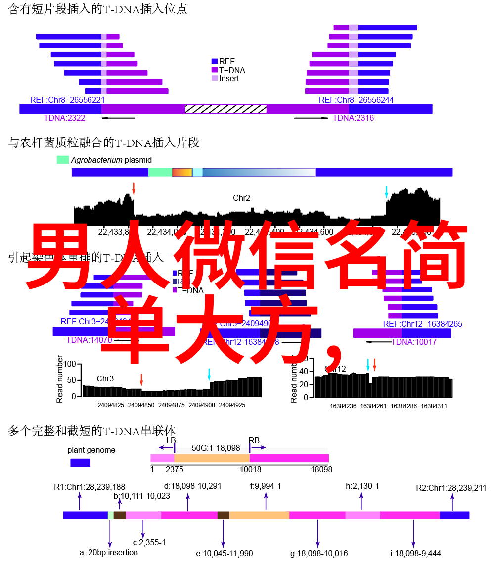 低调大气深沉的网名-隐匿中的辉煌探索那些低调大气深沉网名背后的故事