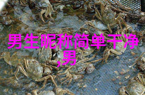 情境灵活风格多变精选2022年的简单好听网名