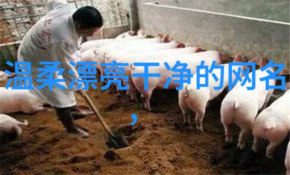 探秘案件揭开迷雾的真相