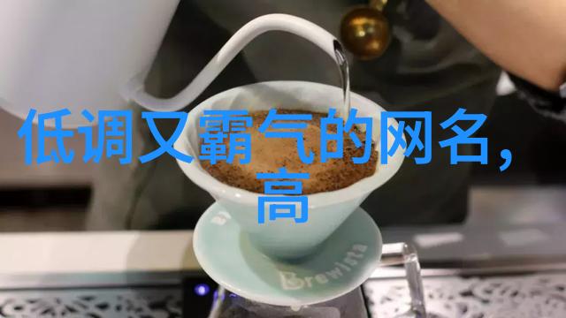 气质女人味的抖音之光追逐时尚与魅力