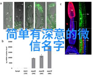 温柔女孩的网络世界2023独特网名之旅