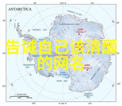 五字高质量id我的网络人生新篇章