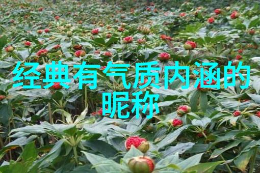 刺心繁体字带符号网名古典文艺网络标识