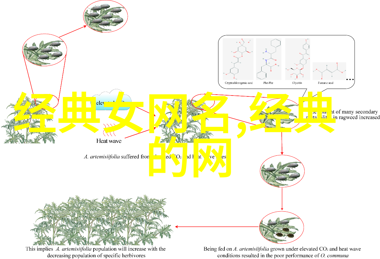 孤影独行探索女生使用繁体字创作的伤感网名