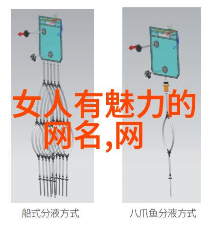 异彩纷呈网名的个性探索