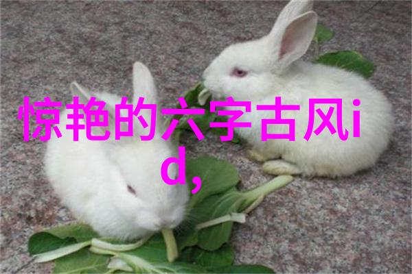 81个qq名有诗意(qq昵称最富有诗意)