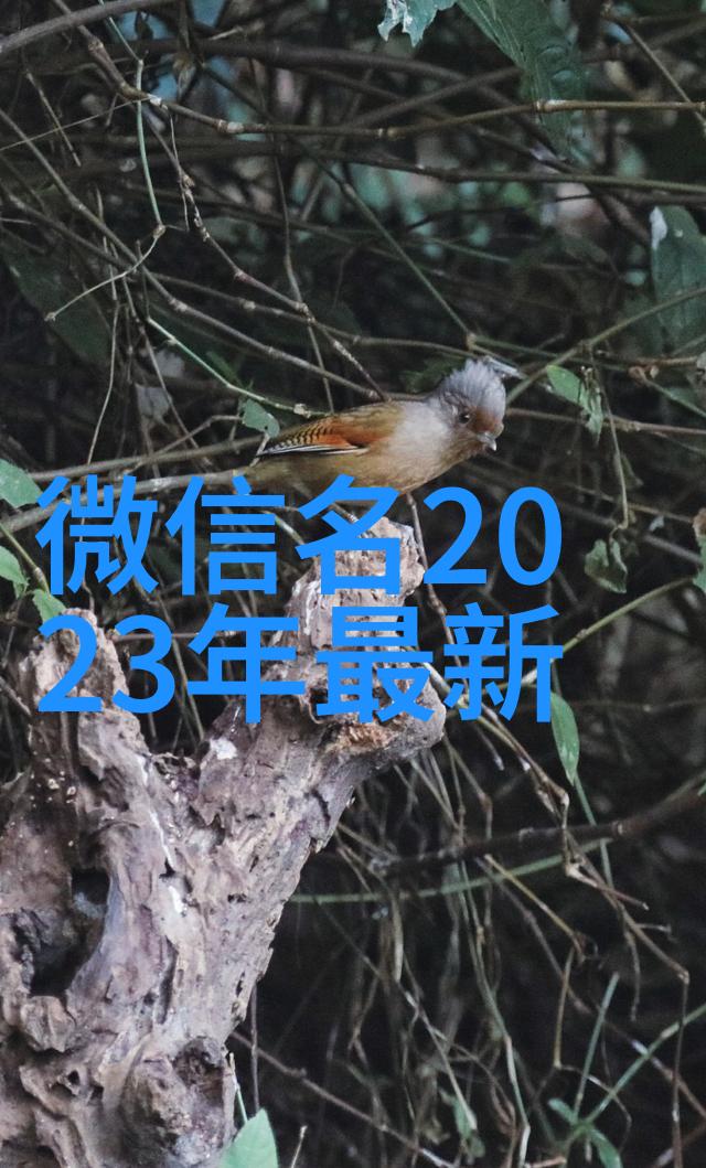 甜蜜音乐-一听就很甜的id探索那些让人心动的音符