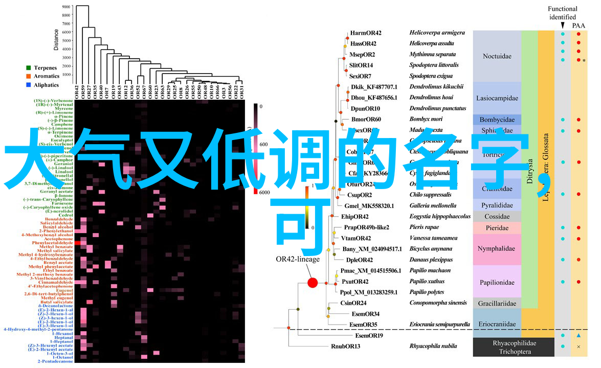 男生霸气冷酷网名 - 冰山王者编织男生霸气冷酷的网络称号