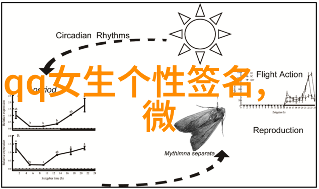 心碎孤狼深夜下的孤独与伤痛