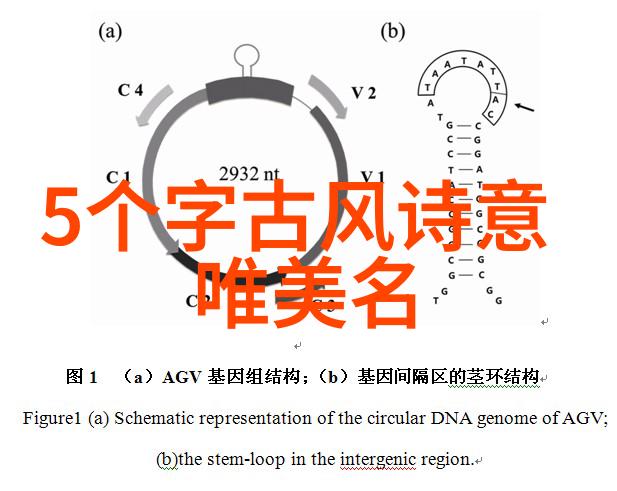 喷泉H1V3HL笔趣阁文学与艺术的源泉汇聚地