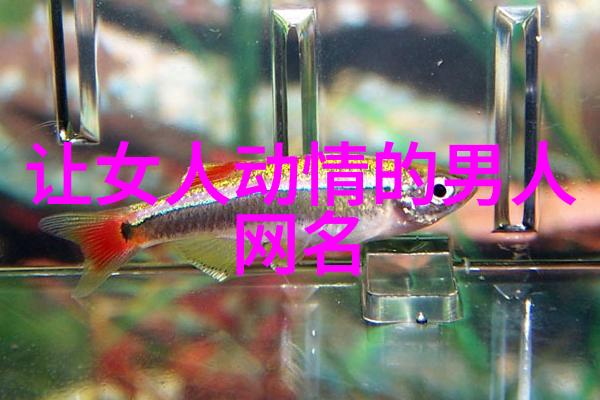 创意无限设计一个完美的微信昵称女生该怎么做才能显得格外霸气