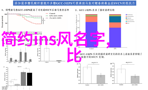 金银瓶1一5新版电影古典爱情的现代重塑