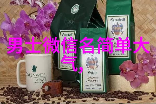 心碎情深爱情伤感网名的诗意与痛楚