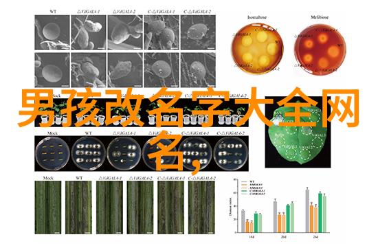 仙气缭绕揭秘那些流传千年的神秘昵称