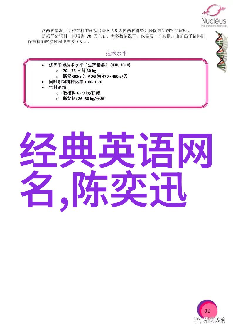 好听的名字女探索音韵和意象的完美结合