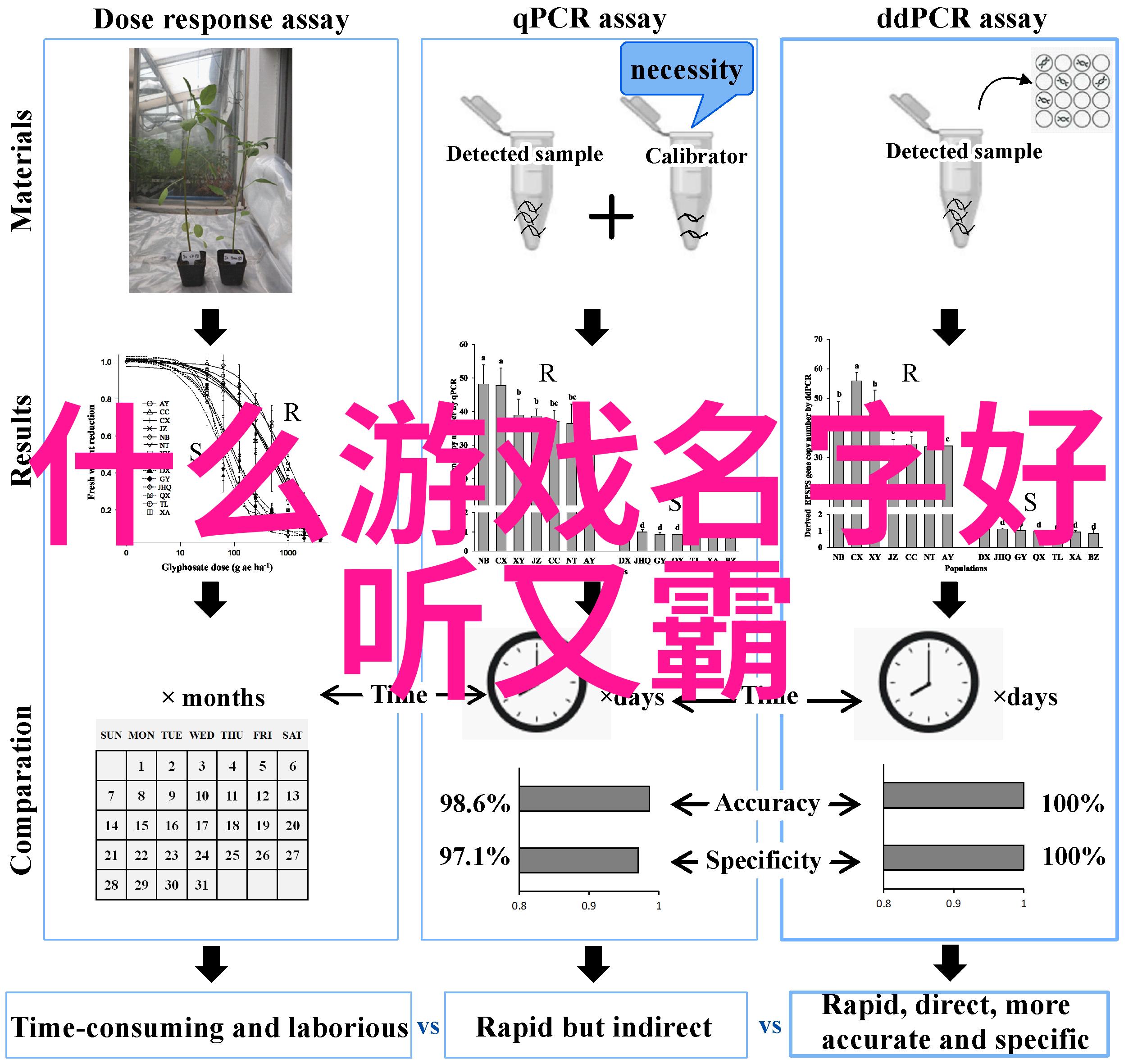 怎么样的网名才能在朋友圈引发一场笑声风暴