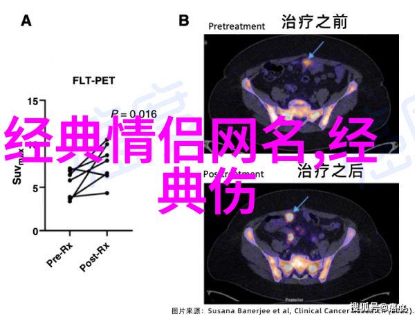 文化熔炉融合传统与现代的诗词名字建议