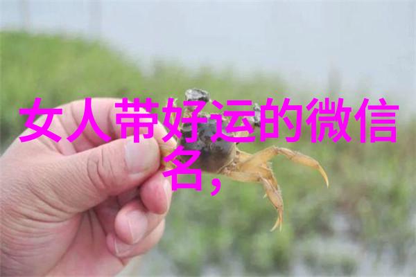 气质的网名我是怎样找到的那个完美名字