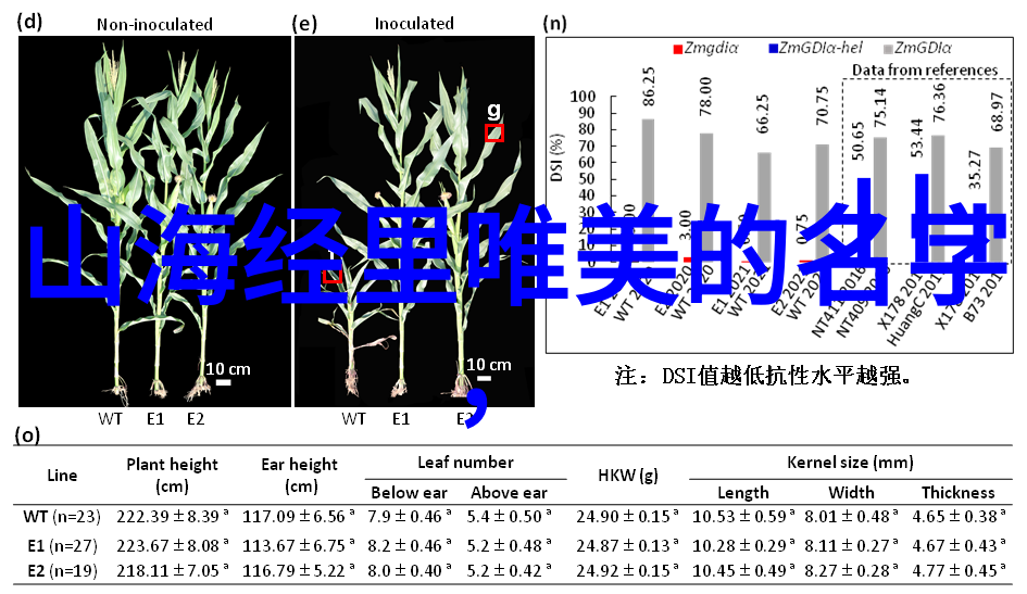 隐喻与寓意交织成诗句般的名字背后的故事又是怎样的展开