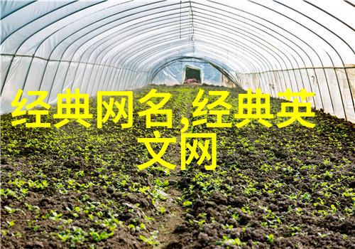 花样网名符号可复制-浪漫风情创意网名符号的艺术与实用