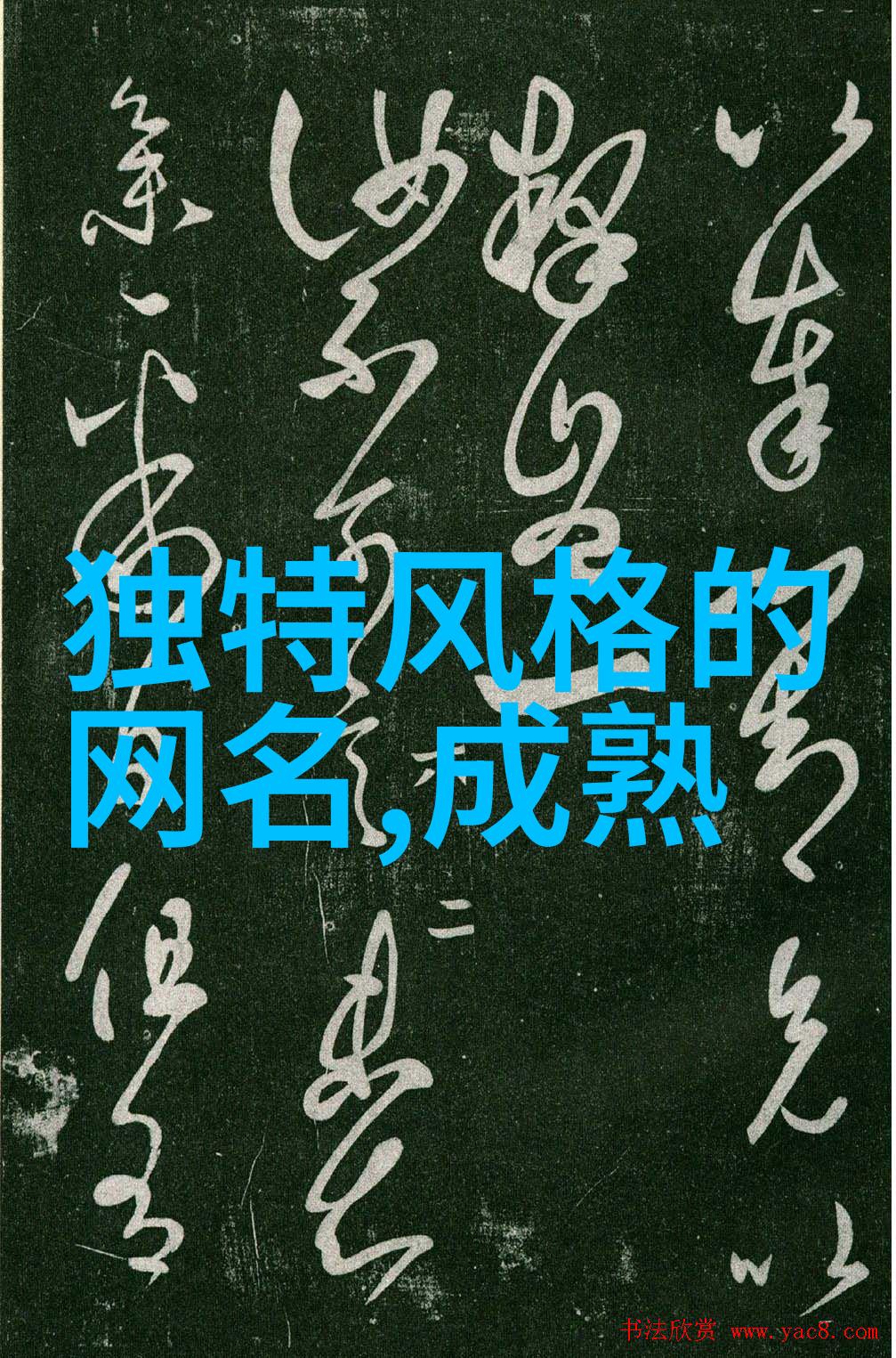 成熟男人网名简短展现魅力与智慧的