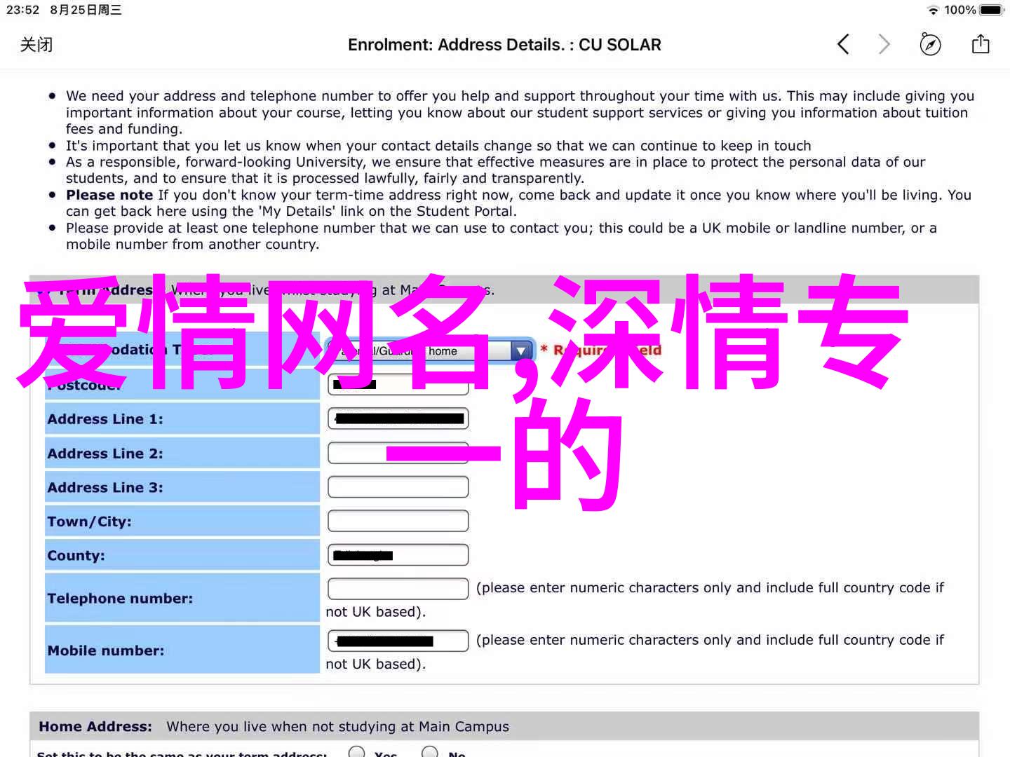 浪漫甜蜜情侣网名的艺术与魅力