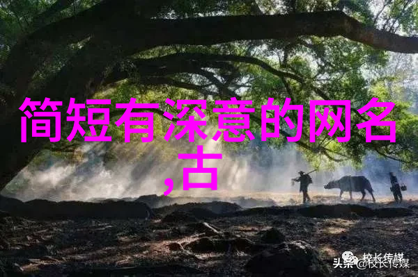 主题我是如何找到那句完美的简单干净成熟网名的