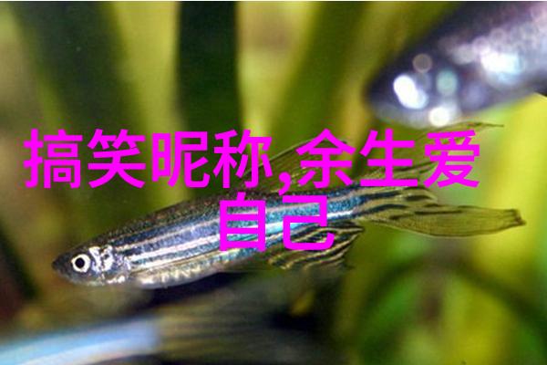 高质量昵称对偶气质优雅不做作的网名双全