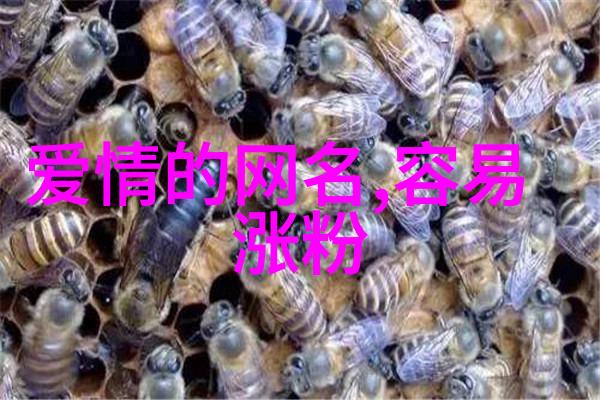 超分子结构的奥秘膜分离技术如何革新生物工程领域