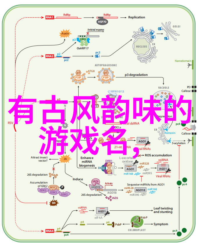 简短可爱名字呆萌 - 萌宠小名给你的宠物起一个甜蜜的新名字